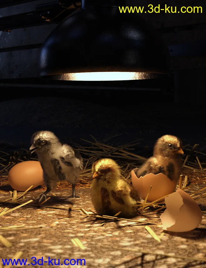 Pip the Chick模型的图片4
