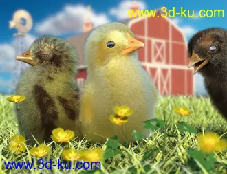 3D打印模型Pip the Chick的图片