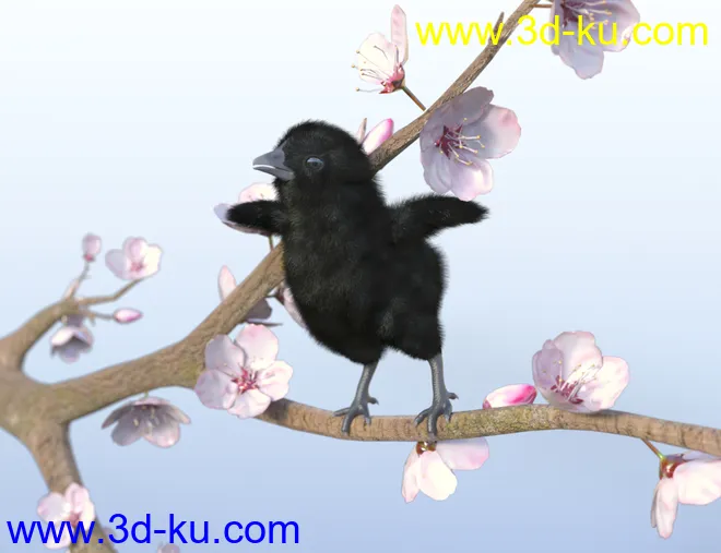 Pip the Chick模型的图片6