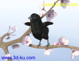 3D打印模型Pip the Chick的图片