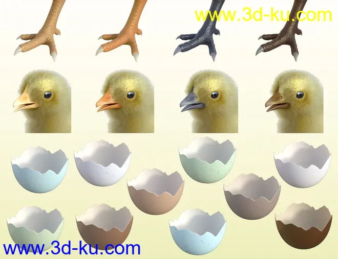 Pip the Chick模型的图片8