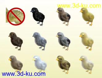 3D打印模型Pip the Chick的图片