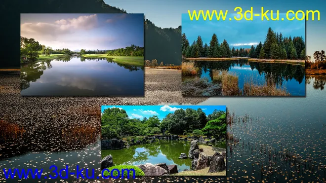 PondScapes Backdrops Volume 1模型的图片5