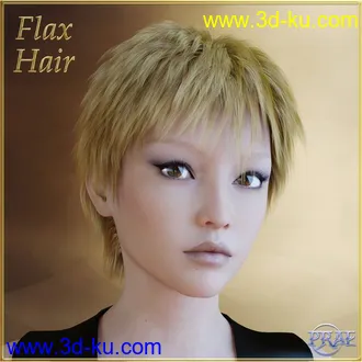 3D打印模型Prae-Flax Hair For G3的图片