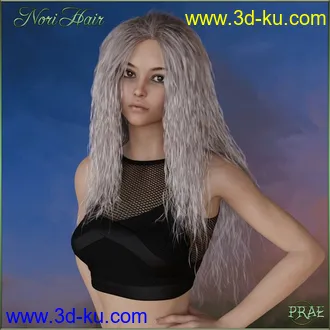 3D打印模型Prae-Nori Hair G8 Daz的图片