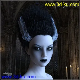 3D打印模型Prae-The Bride Hair G3 G8 Daz的图片