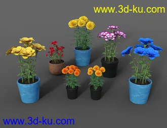 Props of Mexico模型的图片51