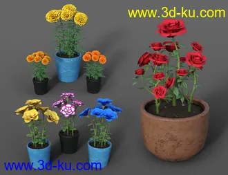 Props of Mexico模型的图片52