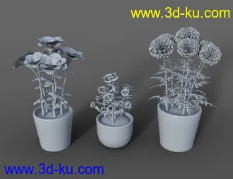 3D打印模型Props of Mexico的图片