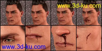 3D打印模型PUG Blood and Wound Pack for Genesis 8 and 8.1的图片