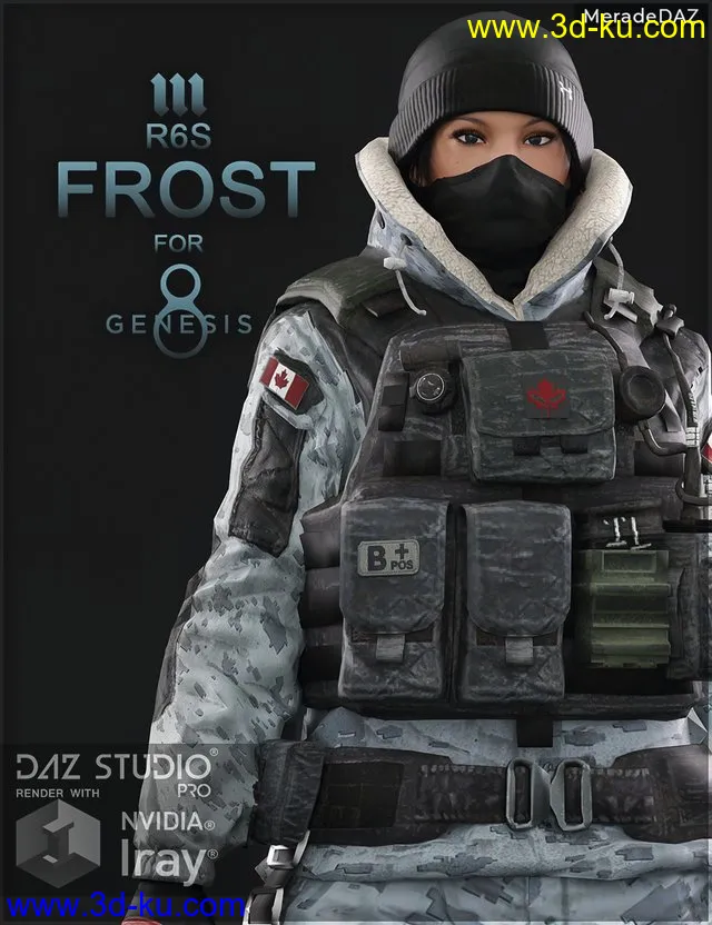 R6S Frost for Genesis 8 and 8.1 Female模型的图片1
