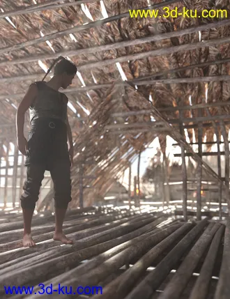 3D打印模型Reed Huts 1的图片