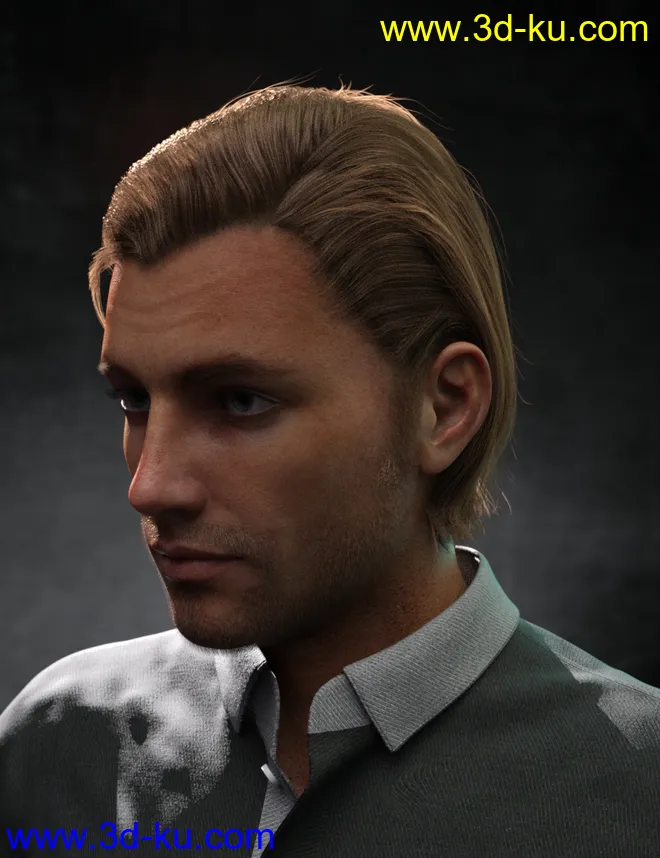 Rialto Hair for Genesis 8 and 8.1 Males模型的图片1