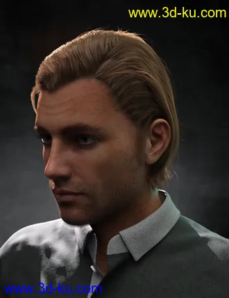 3D打印模型Rialto Hair for Genesis 8 and 8.1 Males的图片