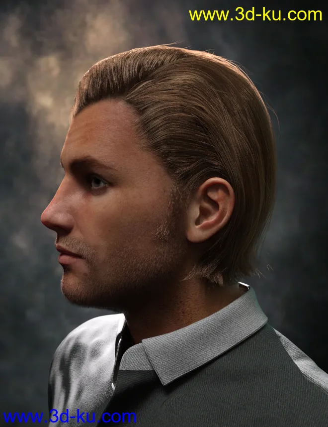 Rialto Hair for Genesis 8 and 8.1 Males模型的图片8