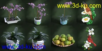 ROG Fantasy Home - Entrance Furniture Set模型的图片23