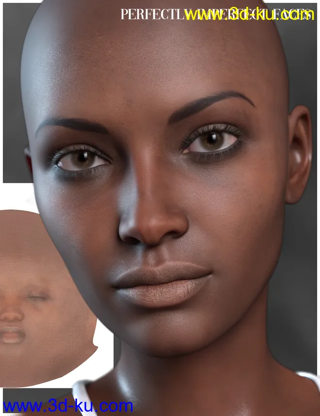 RY Perfectly Imperfect Faces Merchant Resource for Genesis 8.1 Female模型的图片1