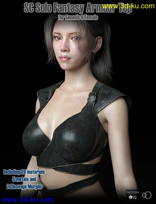 SC Solo Fantasy Armour Top 01 for Genesis 8 Female模型的图片1