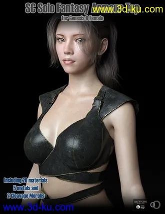 3D打印模型SC Solo Fantasy Armour Top 01 for Genesis 8 Female的图片
