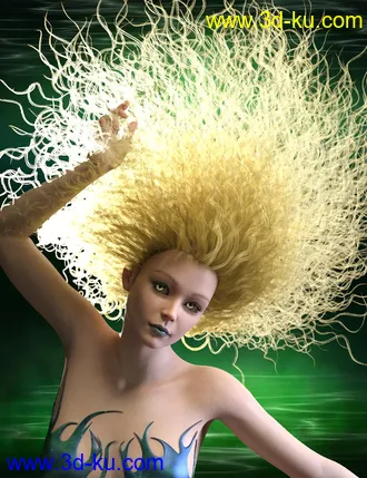 3D打印模型Selkie Hair for Genesis 8 with dForce的图片