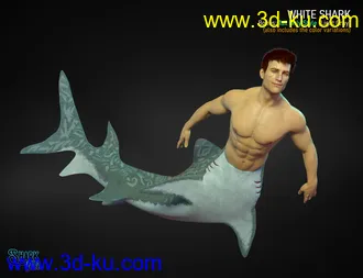 3D打印模型Shark Tail for Genesis 8 Males的图片