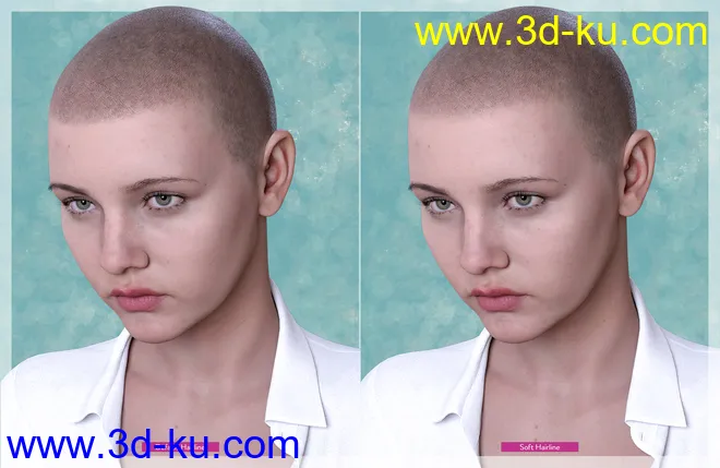 Shaved Hair V2 for Genesis 8.1 Females模型的图片2