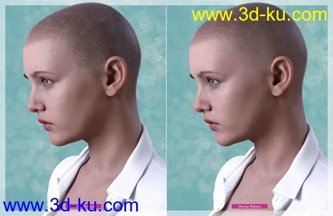 Shaved Hair V2 for Genesis 8.1 Females模型的图片3