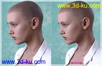 3D打印模型Shaved Hair V2 for Genesis 8.1 Females的图片