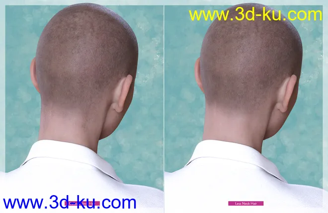 Shaved Hair V2 for Genesis 8.1 Females模型的图片4