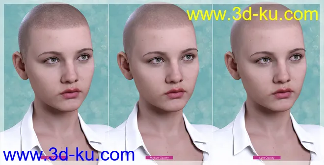 Shaved Hair V2 for Genesis 8.1 Females模型的图片5