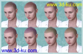 3D打印模型Shaved Hair V2 for Genesis 8.1 Females的图片