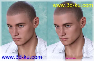 3D打印模型Shaved Hair V2 for Genesis 8.1 Males的图片