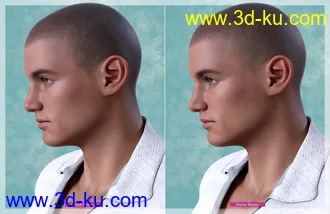 3D打印模型Shaved Hair V2 for Genesis 8.1 Males的图片