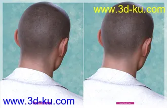 3D打印模型Shaved Hair V2 for Genesis 8.1 Males的图片