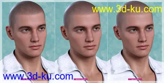 3D打印模型Shaved Hair V2 for Genesis 8.1 Males的图片