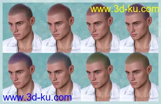 3D打印模型Shaved Hair V2 for Genesis 8.1 Males的图片
