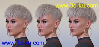 3D打印模型Short Undercut Hair for Genesis 3, 8, and 8.1 Males and Females的图片