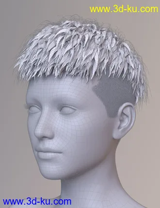 3D打印模型Short Undercut Hair for Genesis 3, 8, and 8.1 Males and Females的图片