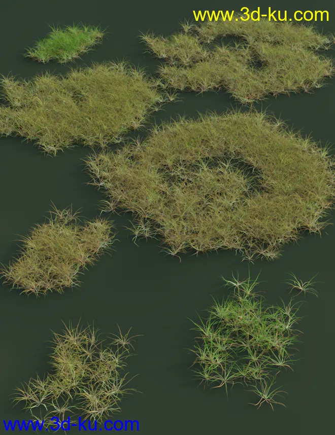 Simply Grass - Grass Plants and Clumps模型的图片3