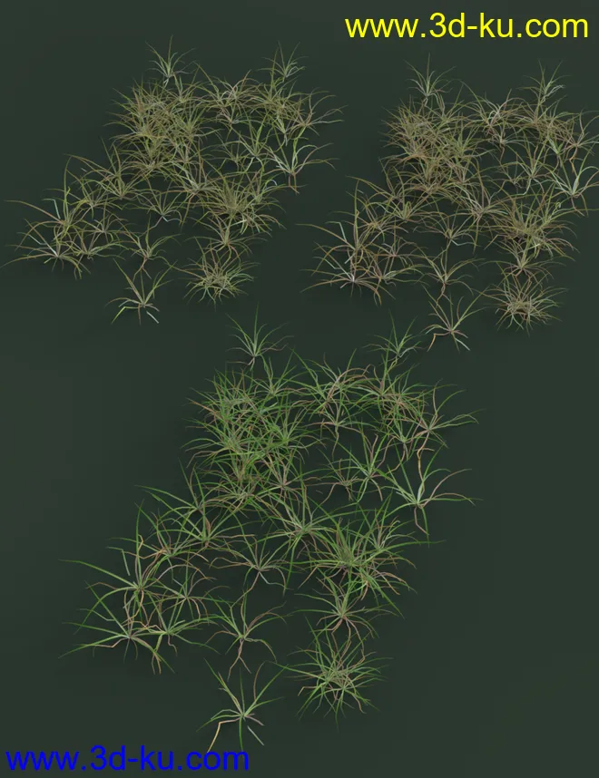 Simply Grass - Grass Plants and Clumps模型的图片4