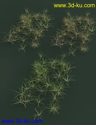 3D打印模型Simply Grass - Grass Plants and Clumps的图片