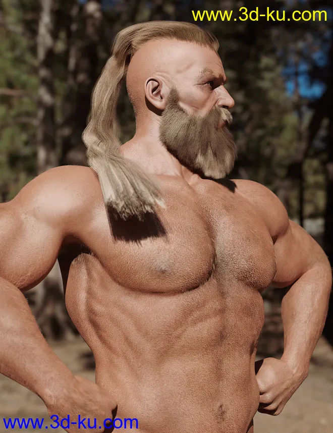 Skalde HD for Genesis 8 Male模型的图片3