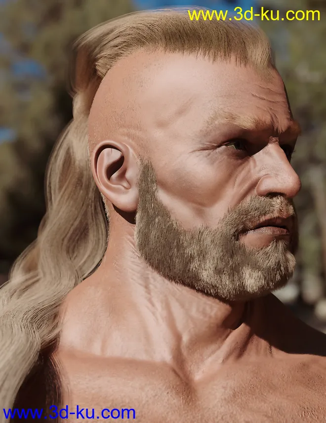 Skalde HD for Genesis 8 Male模型的图片6