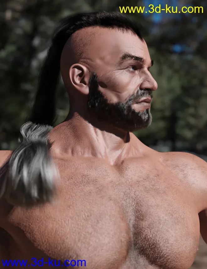 Skalde HD for Genesis 8 Male模型的图片14