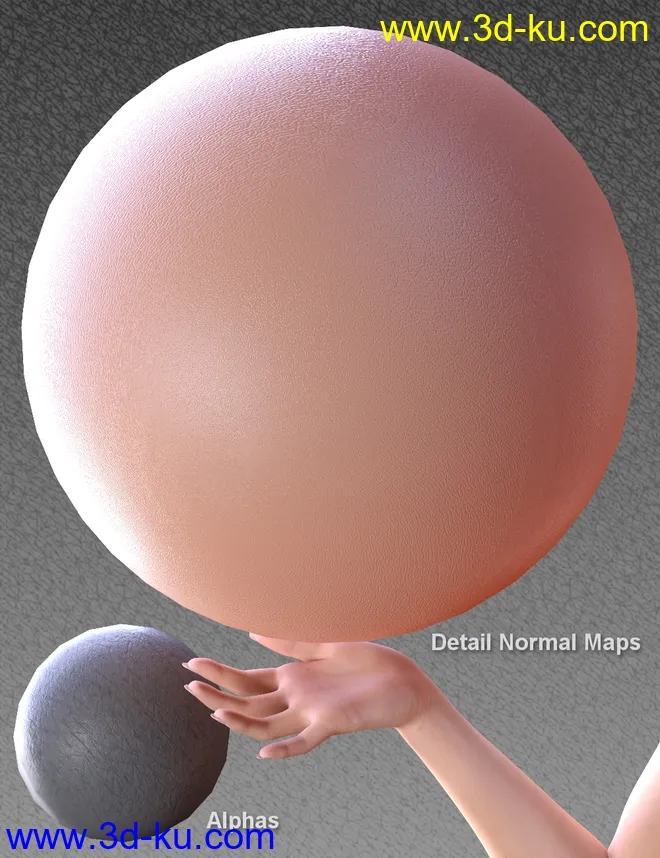 Skin Detail Resource 3模型的图片1