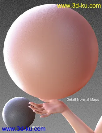 3D打印模型Skin Detail Resource 3的图片