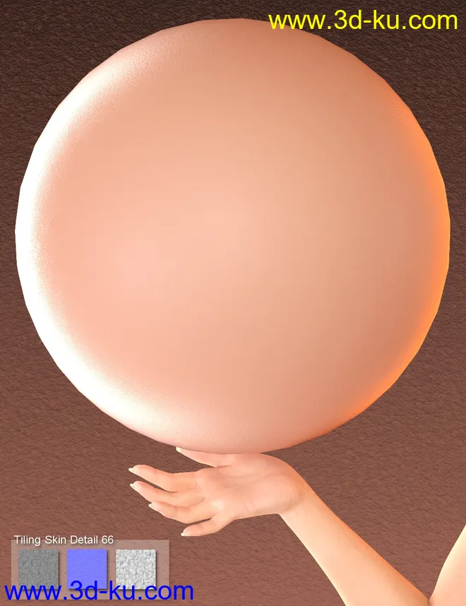 Skin Detail Resource 3模型的图片3