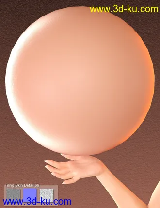3D打印模型Skin Detail Resource 3的图片