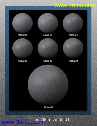 3D打印模型Skin Detail Resource 3的图片