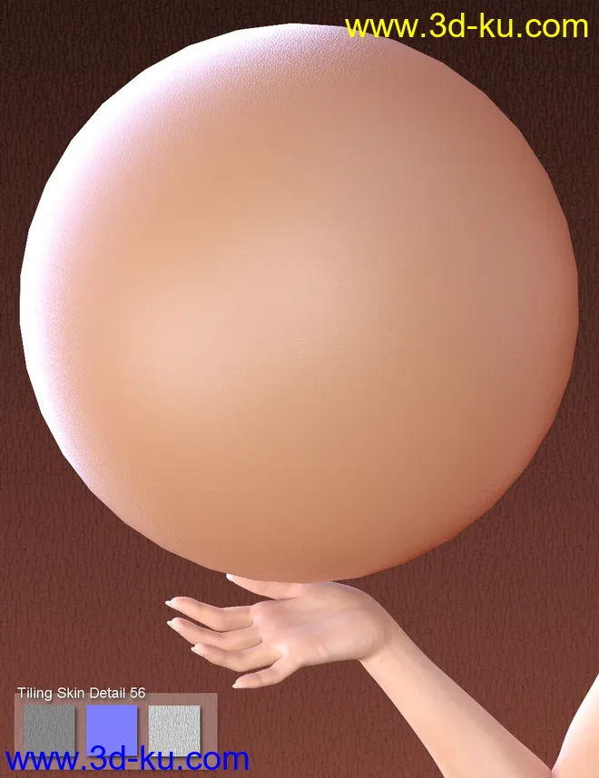 Skin Detail Resource 3模型的图片9